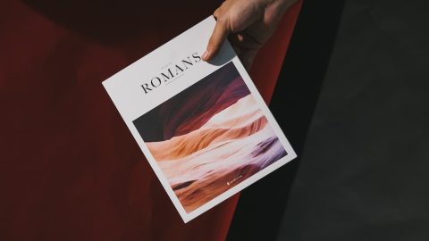 サンプリング チラシ フリーペーパーリーフレット 雑誌広告